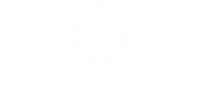 logo-rmsolutions